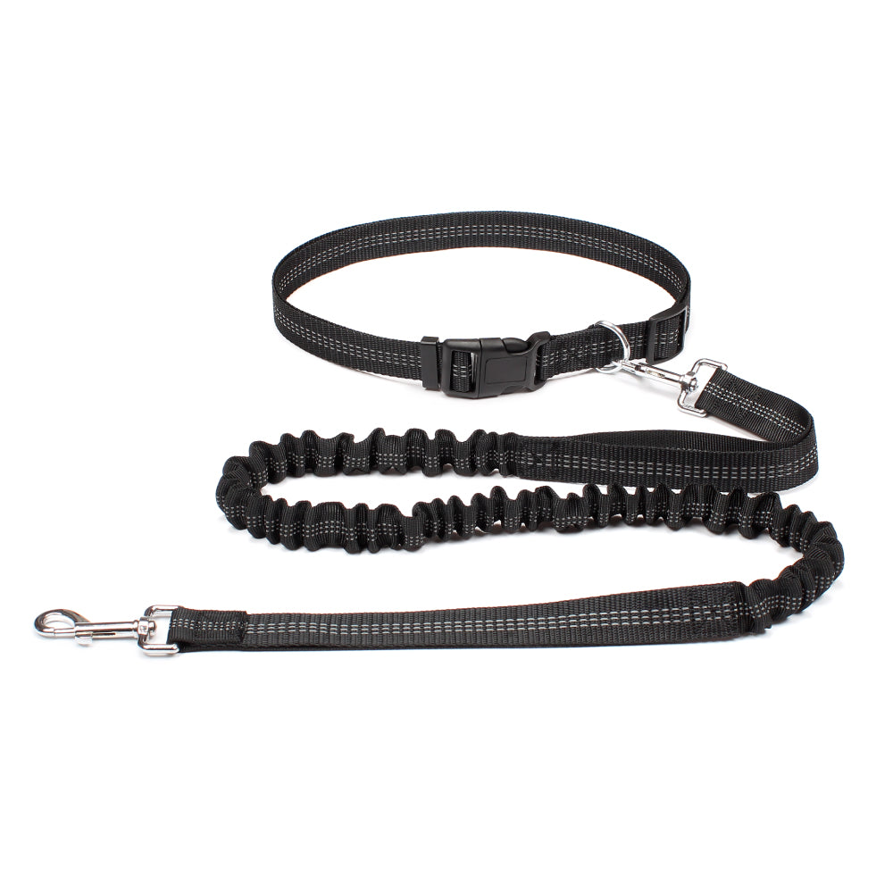 Running Hands-Free Leash
