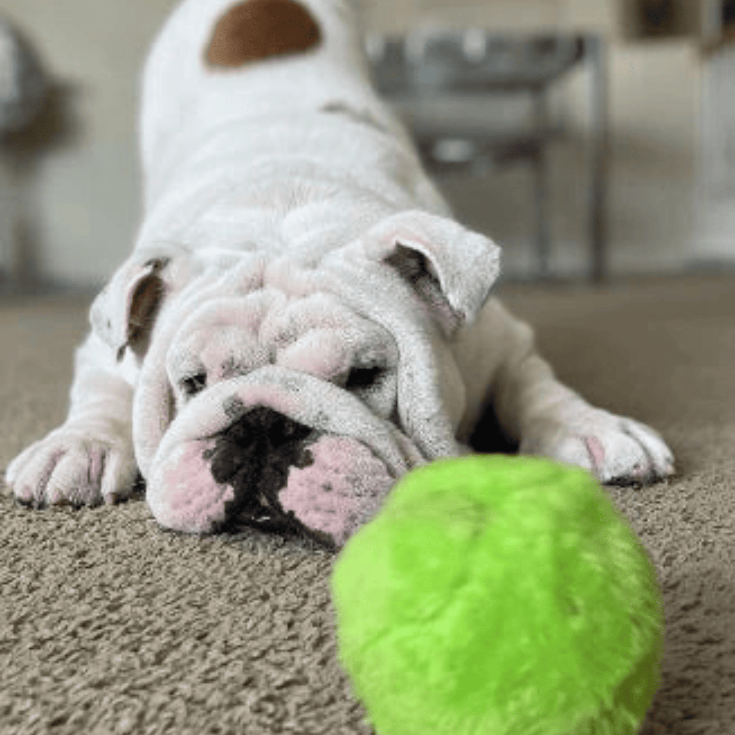 Active Rolling Ball