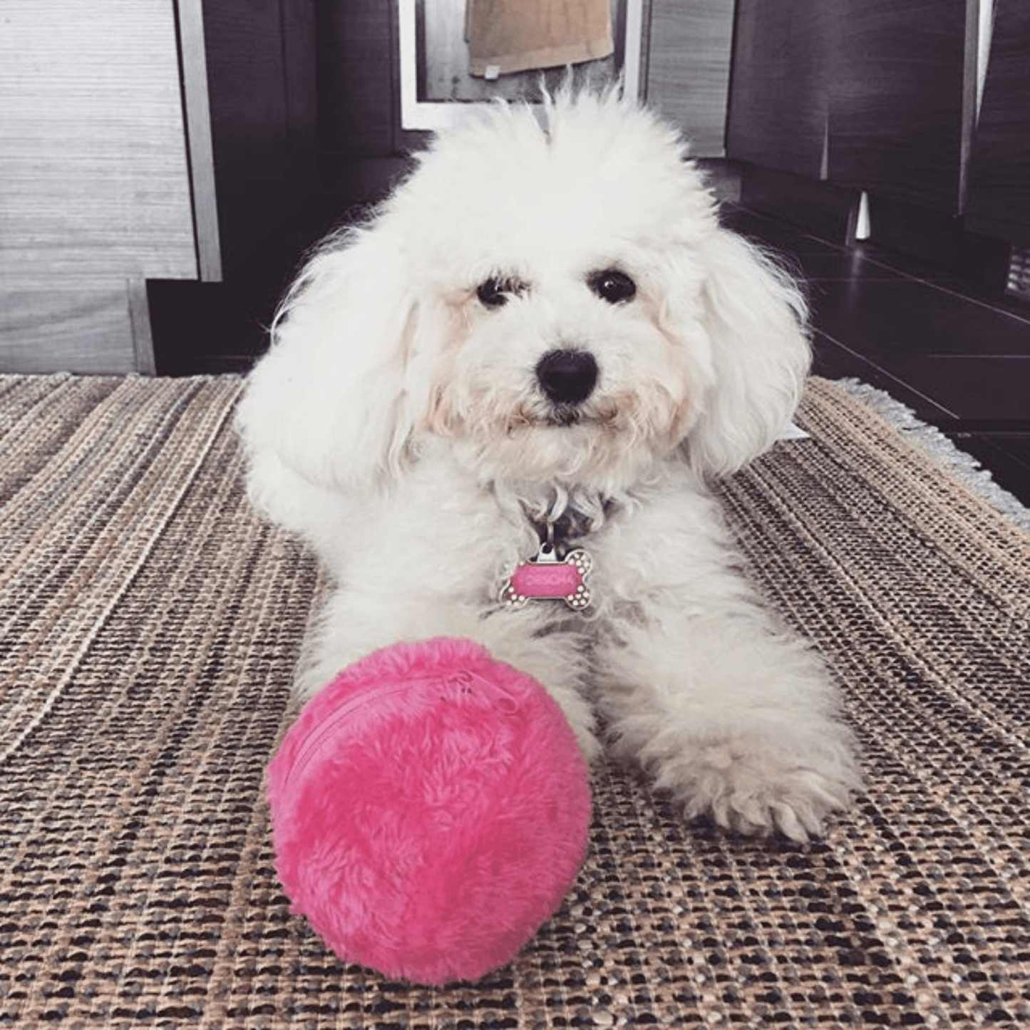 Active Rolling Ball