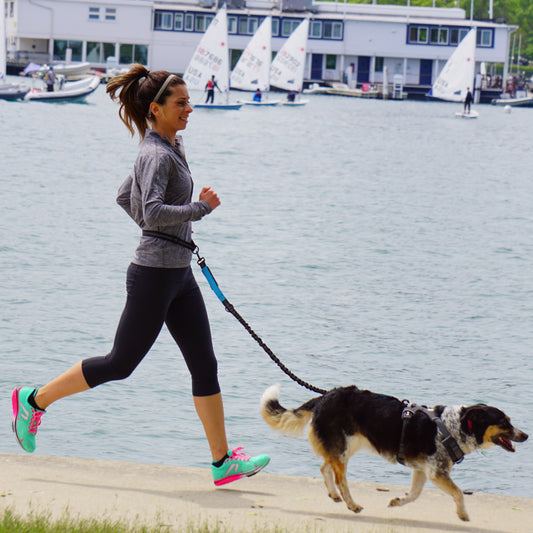 Running Hands-Free Leash