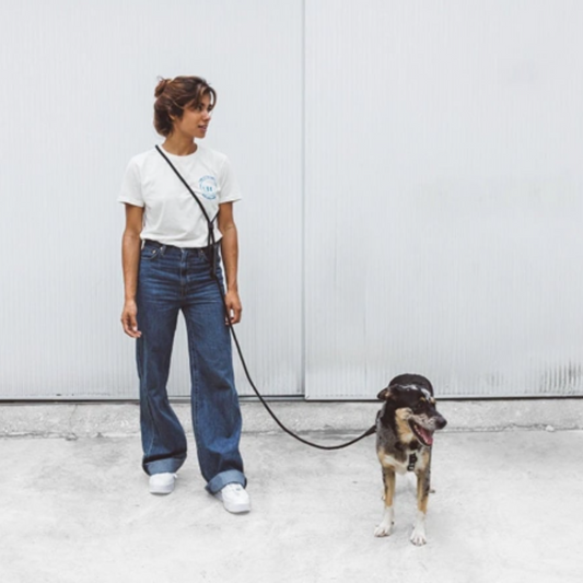 Classic Hands-Free Leash